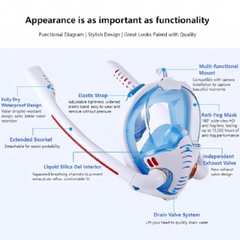 Dual Snorkel Diving Mask